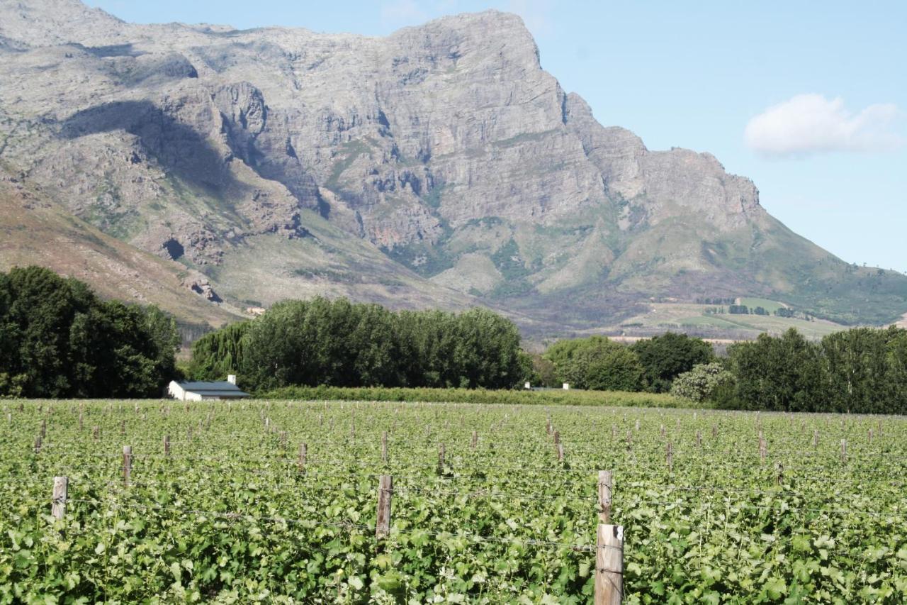 La Chataigne Wines&Guest Cottages Franschhoek Extérieur photo
